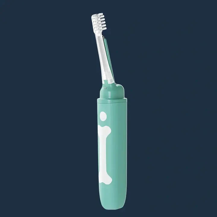 The Benefits of Using an Electric Toothbrush for Your Dog’s Teeth